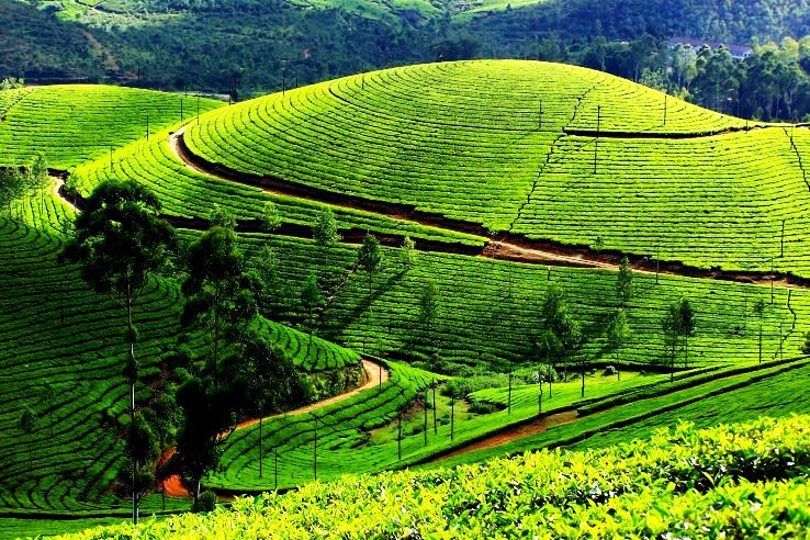 Munnar